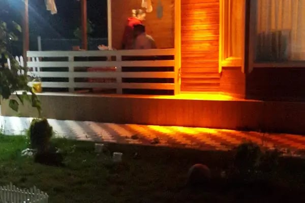 Ankara Arı Life Hobibahçesi - Resim 14