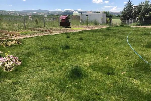 Ankara Arı Life Hobibahçesi - Resim 5