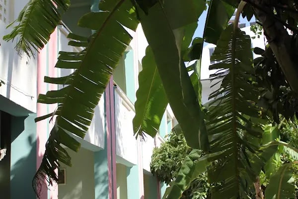 Gazipaşa Star Otel - Resim 9