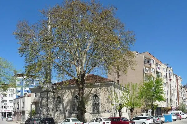 İnegöl pilavcım - Resim 5