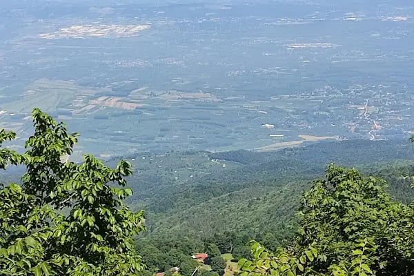 Sakarya Büyükşehir Belediyesi Bilgi İşlem Daire Başkanlığı - Resim 4