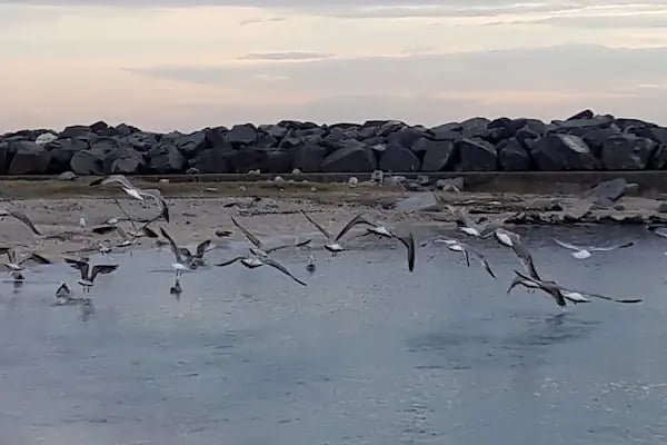 Yeşilköy Yat Limanı - Resim 15