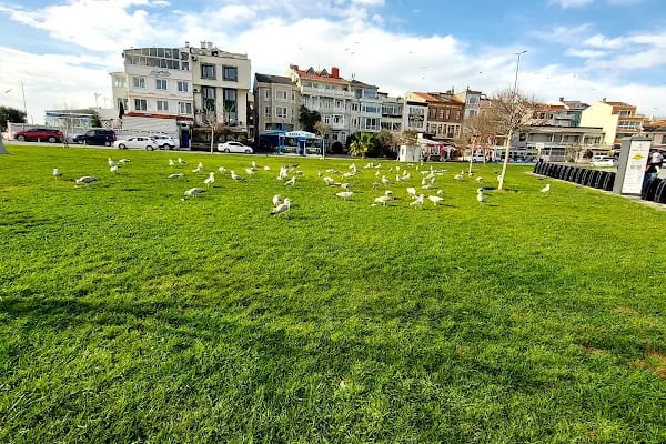 Yeşilköy Yat Limanı - Resim 11