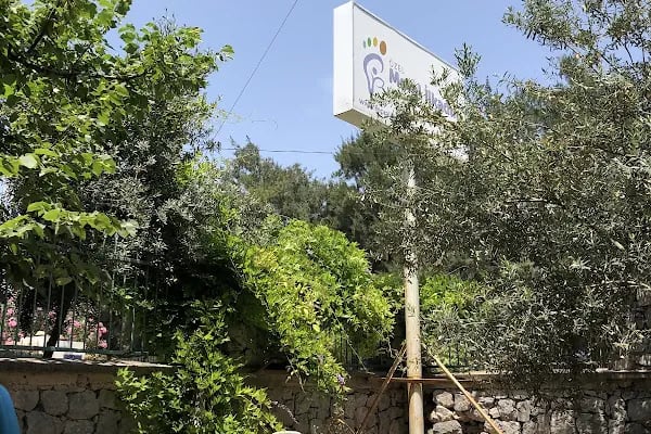 Bornova Akran Akademi Özel Eğitim ve Rehabilitasyon Merkezi - Resim 5
