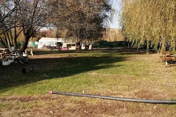 Balık Gölü Alabalık Üretim Tesisi-Artunç Alabalık - Resim 4