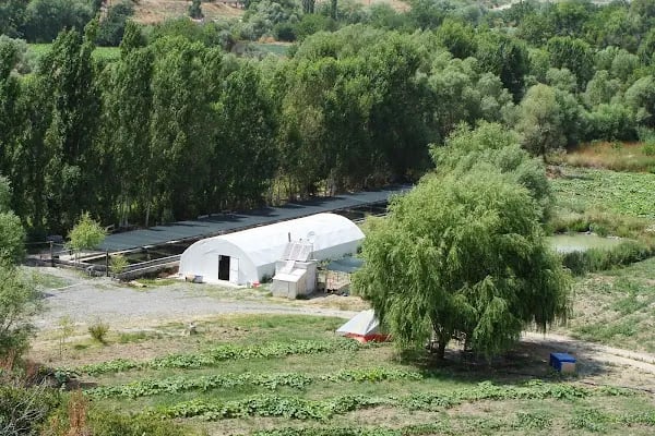 Balık Gölü Alabalık Üretim Tesisi-Artunç Alabalık - Resim 16