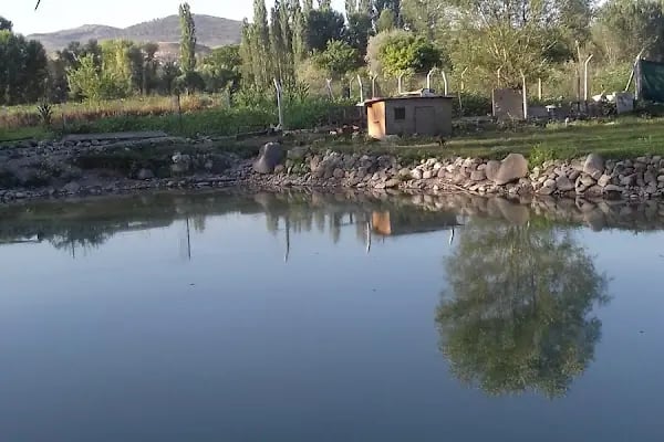 Balık Gölü Alabalık Üretim Tesisi-Artunç Alabalık - Resim 12