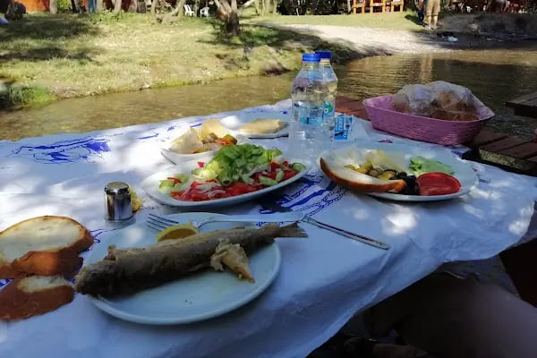 Balık Gölü Alabalık Üretim Tesisi-Artunç Alabalık - Resim 3