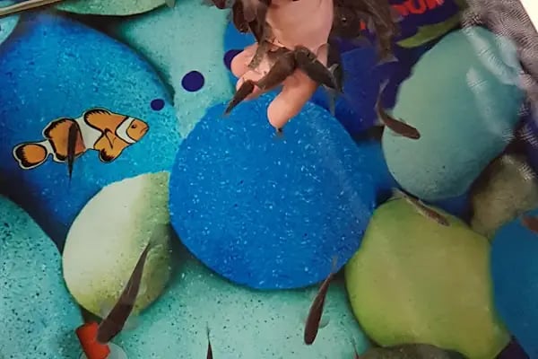 BUDDY PETSHOP - Resim 3