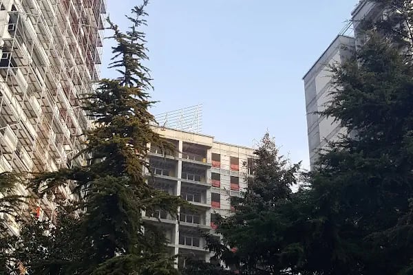 KİRAZLI KORU EVLERİ - Resim 3