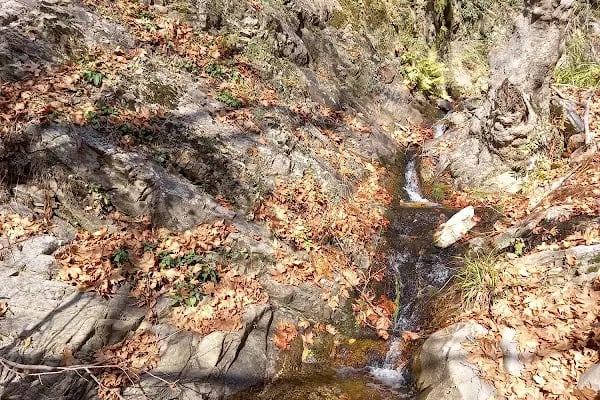 Çavdar mesire yeri piknik alanı - Resim 14