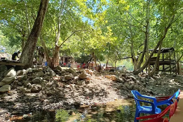 Çavdar mesire yeri piknik alanı - Resim 13