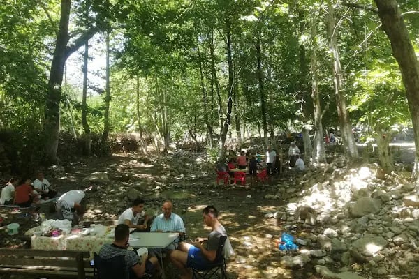 Çavdar mesire yeri piknik alanı - Resim 17