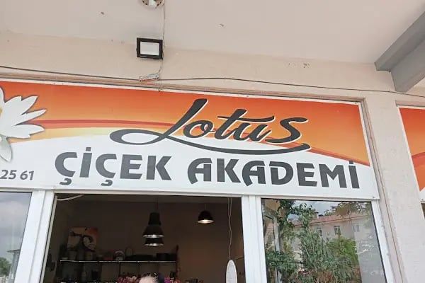 Lotus Cicek Akademi - Resim 2
