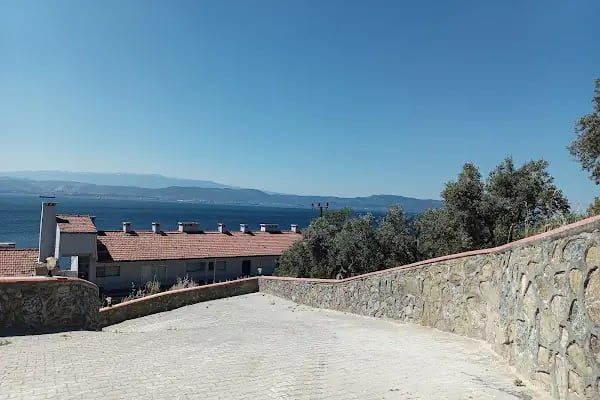 Küçük kumla - Resim 14