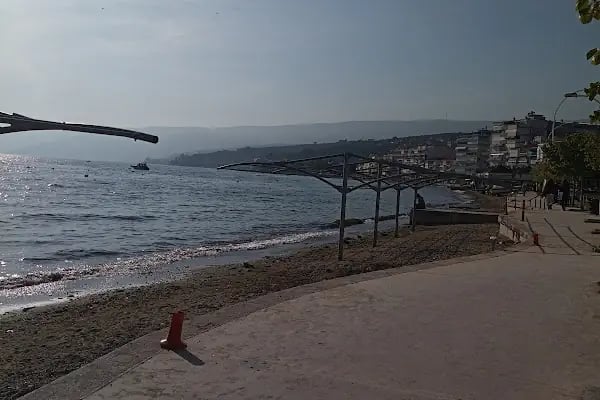 Küçük kumla - Resim 16
