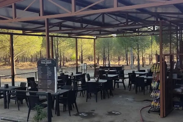 Toparlar Şelale - Resim 12