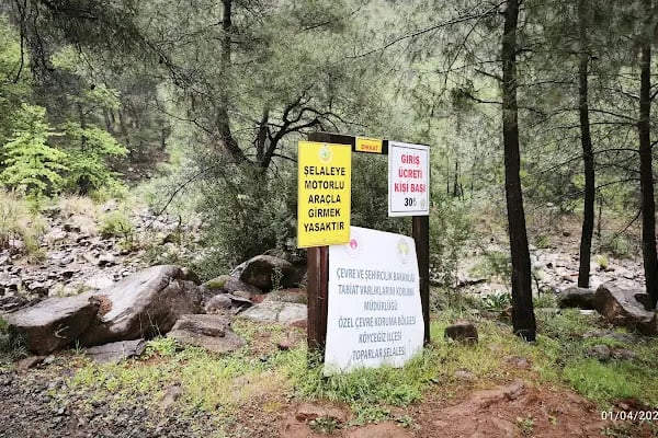 Toparlar Şelale - Resim 10