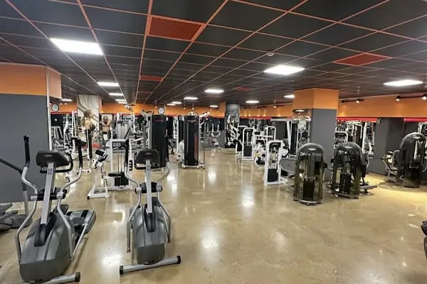 Maestro Pilates &amp; Performance - Resim 14