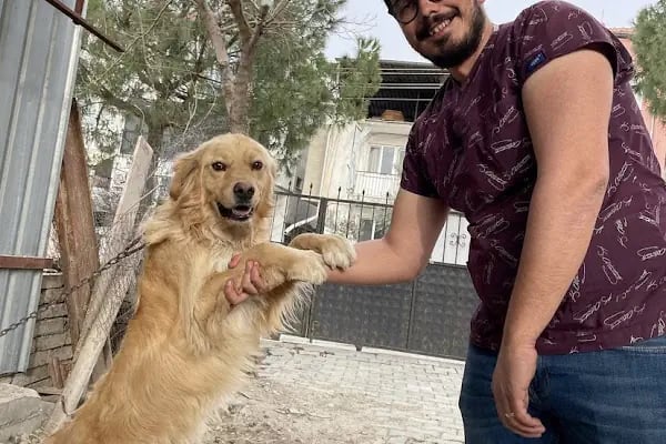 EMREOĞLU VETERİNER KLİNİĞİ - Resim 5