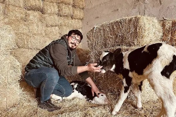 EMREOĞLU VETERİNER KLİNİĞİ - Resim 15
