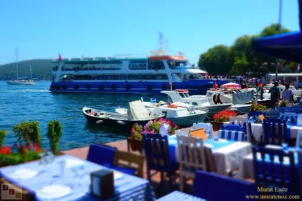 Antigoni Restaurant - Resim 14