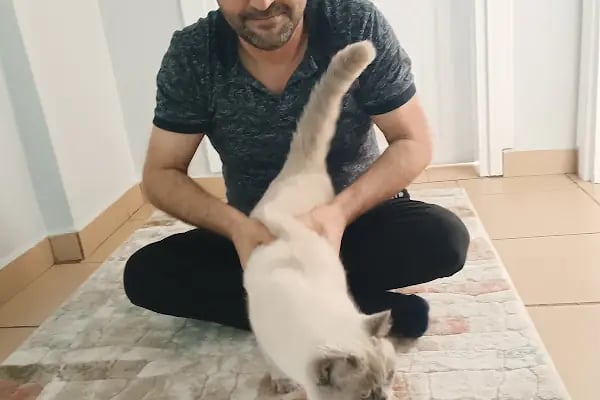 ısparta VETÖZDEN Veteriner kliniği - Resim 5