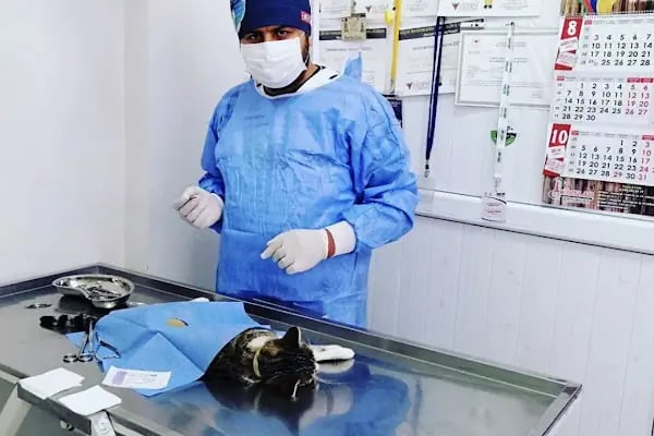 ısparta VETÖZDEN Veteriner kliniği - Resim 13