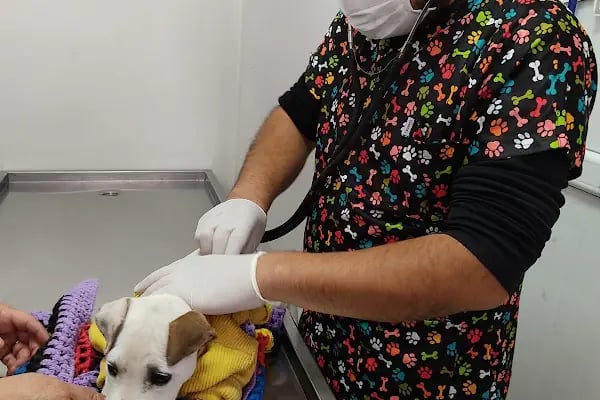 ısparta VETÖZDEN Veteriner kliniği - Resim 18