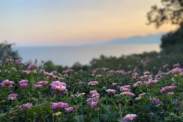 Uzman Psikolog Kübra Altıparmak Hamamcı, Antalya Psikolog, Antalya Psikoloji , Bireysel Danışmanlık, Uzman Psikolog - Resim 7