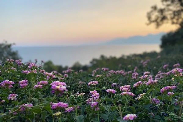 Uzman Psikolog Kübra Altıparmak Hamamcı, Antalya Psikolog, Antalya Psikoloji , Bireysel Danışmanlık, Uzman Psikolog - Resim 13
