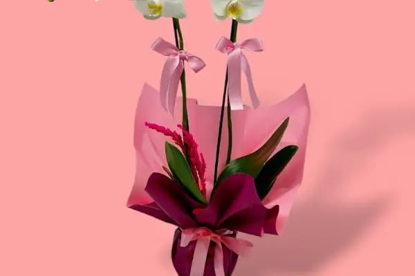 Osbini Flowers Çiçekcilik - Resim 8
