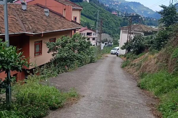 Gürpınar Diyaliz Merkezi Ve Aile Hekimliği - Resim 3