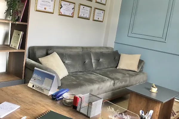 UZM.PSİKOLOG ANIL DALKILIÇ DANIŞMANLIK - Resim 2