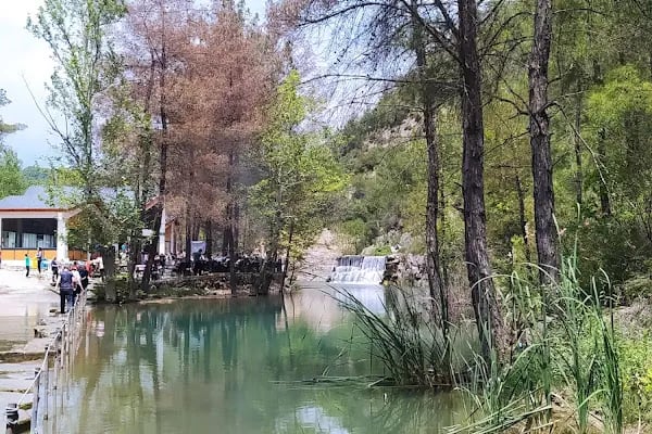 Yedigöze Milli Parkı - Piknik Alanı - Resim 15