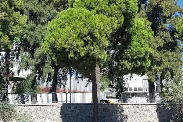 Zeytincilik Araştırma Enstitüsü Müdürlüğü - Resim 6