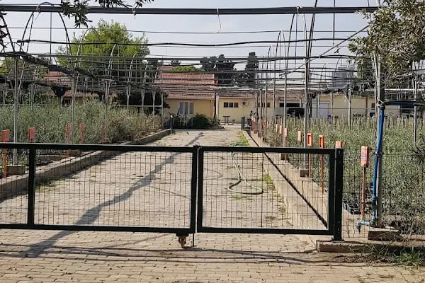 Zeytincilik Araştırma Enstitüsü Müdürlüğü - Resim 2