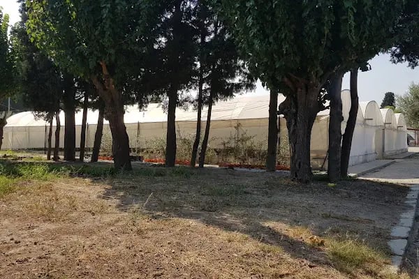 Zeytincilik Araştırma Enstitüsü Müdürlüğü - Resim 16