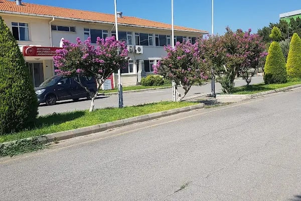 Zeytincilik Araştırma Enstitüsü Müdürlüğü - Resim 19
