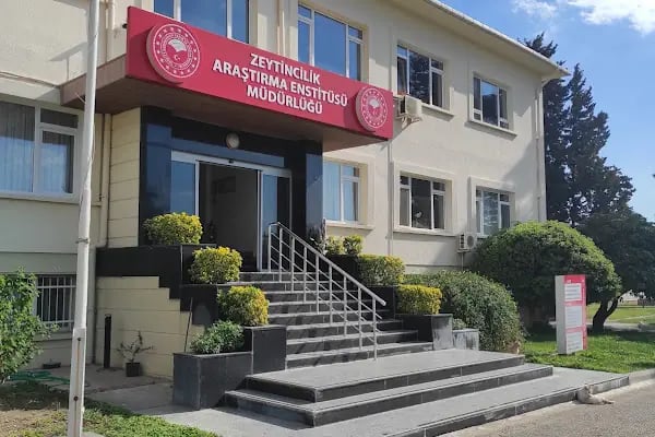Zeytincilik Araştırma Enstitüsü Müdürlüğü - Resim 4