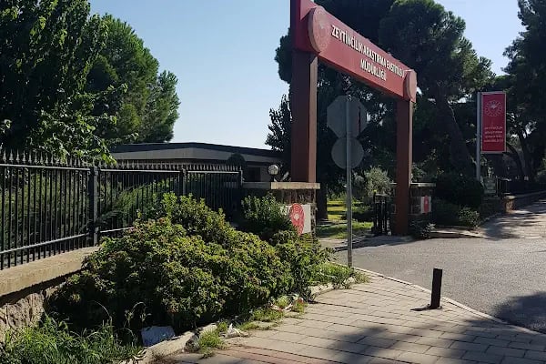 Zeytincilik Araştırma Enstitüsü Müdürlüğü - Resim 3