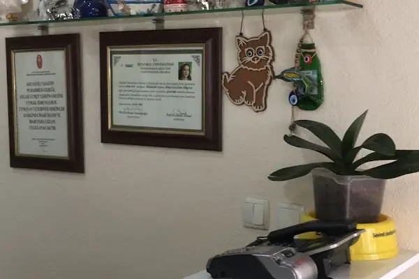 Tunay Veteriner Kliniği - Resim 15
