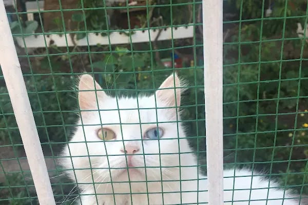 Tunay Veteriner Kliniği - Resim 5