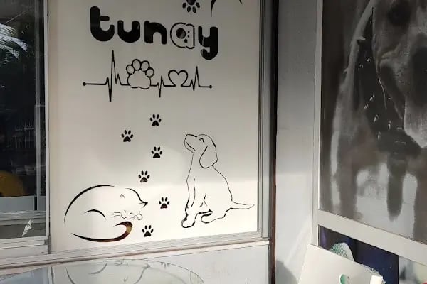 Tunay Veteriner Kliniği - Resim 3