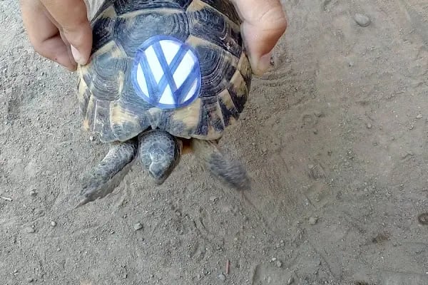 Tunay Veteriner Kliniği - Resim 12