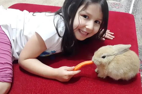 Tunay Veteriner Kliniği - Resim 18