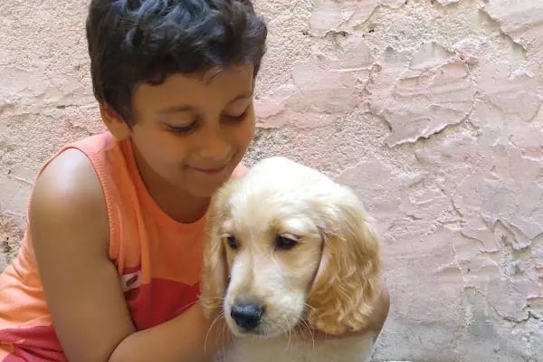 HEALTHY PET VETERİNER KLİNİĞİ & PET SHOP - Resim 16