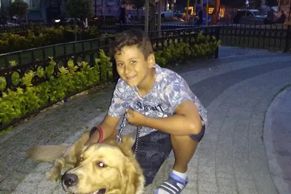 HEALTHY PET VETERİNER KLİNİĞİ & PET SHOP - Resim 9