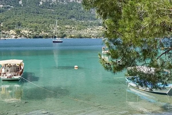 Elit Cafe - Resim 12