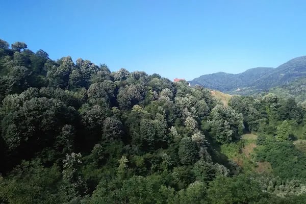 Yuvacık Su dolum tesisi - Resim 4